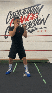 quinitboxing  GIF