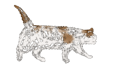 Cat Sticker
