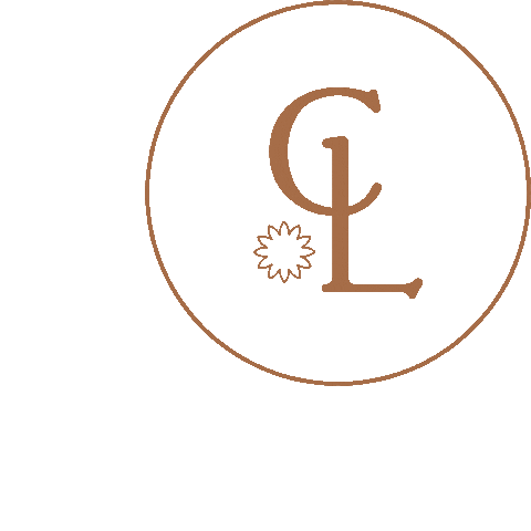 clemencelaborde giphyupload Sticker