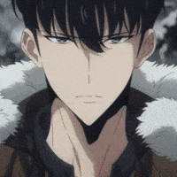 Solo Leveling Sung GIF