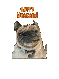 Sticker Weekend Sticker
