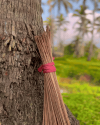 Fight Mom GIF
