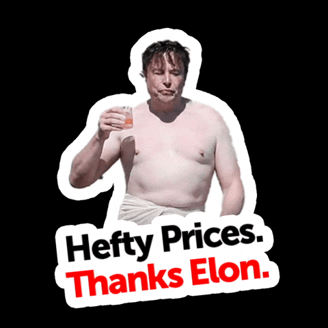 Elon Musk Surprise GIF by Creative Courage