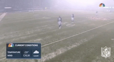 New York Giants Football GIF by NFL