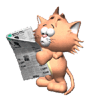 Cat Read Sticker