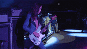Live Music Guitar GIF by Greta Van Fleet