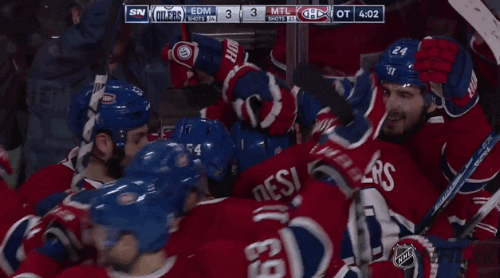 Ice Hockey Hug GIF by NHL