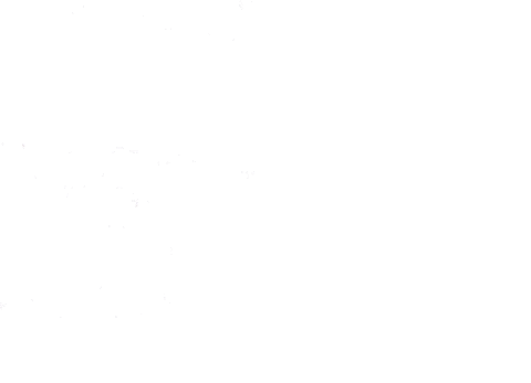 Wave Walk Sticker by Elodie | werkgeluk expert