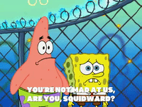 season 5 to love a patty GIF by SpongeBob SquarePants