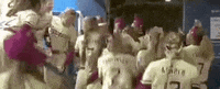 Florida State Arizona GIF by NCAA Championships