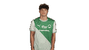 Football Sport Sticker by Bundesliga