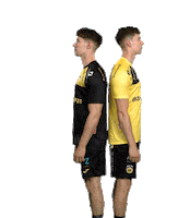 Sport Handball Sticker by HSC 2000 Coburg