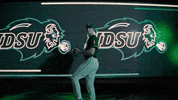 Ndsu Baseball GIF by NDSU Athletics