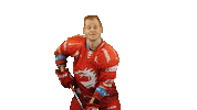Ice Hockey Sticker Sticker by HC Oceláři Třinec
