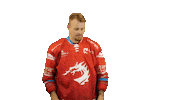Ice Hockey Sticker Sticker by HC Oceláři Třinec