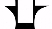 slashbrand logo design brand creative GIF