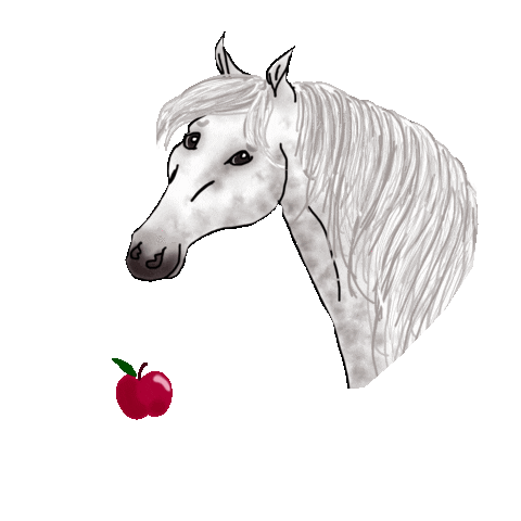 winterlichtmalerei giphyupload horse competition military Sticker