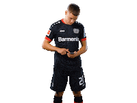 Swiping Bayer 04 Sticker by Bayer 04 Leverkusen