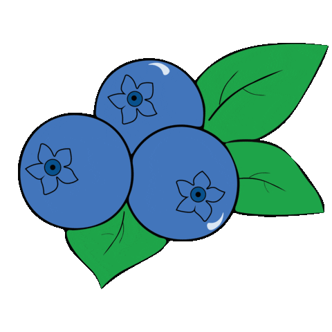 Blueberries Sticker by mazistebuklai
