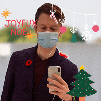 Joyeux Noel Entrepreneur GIF by Chris TDL France