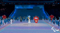 Ukraine Enters