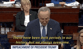 Chuck Schumer Impeachment GIF