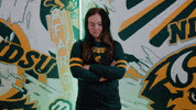 Volleyball Bison GIF by NDSU Athletics