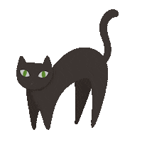 Black Cat Sticker