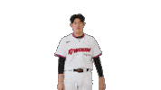 김동규 Sticker by Kiwoom Heroes Baseball Club