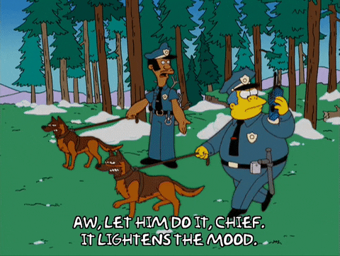 episode 11 homer GIF