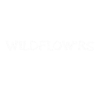 Flowers Love Sticker