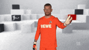 Football Soccer GIF by Bundesliga