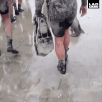 funny GIF by JustViral.Net