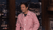Jimmy Fallon What GIF by The Tonight Show Starring Jimmy Fallon