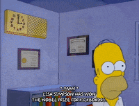 homer simpson episode 3 GIF