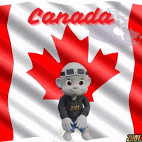 Maple Leaf Canada GIF by Zhot