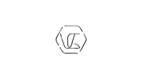Voichegeyer giphyupload fashion logo moda Sticker