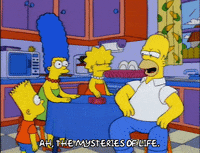 homer simpson GIF