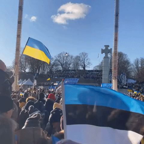 Huge Crowd Gathers for Ukraine Solidarity Demonstration in Tallinn, Estonia