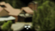 fox spying GIF