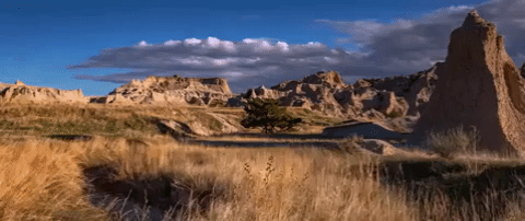 south dakota GIF