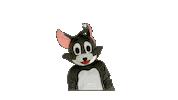 Football Tom Sticker by Kirchdorf Wildcats