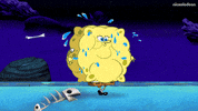 Jellyfish Fields GIF by SpongeBob SquarePants