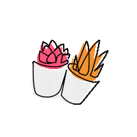Sucstu plants modern cactus succulent Sticker