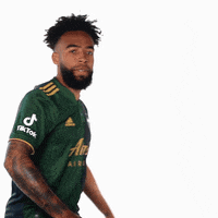 Lets Go Sport GIF by Timbers