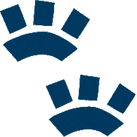 Sgdf Scoutisme Sticker by Scouts et Guides de France