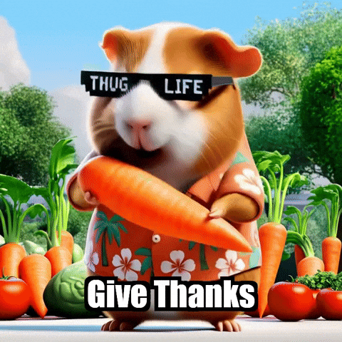 Give Thanks Wisdom GIF by Guinea Gambino