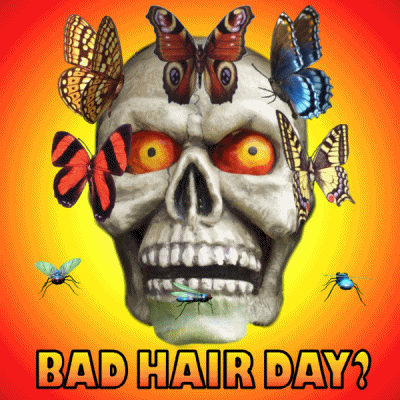 Bad Hair Day Skull GIF