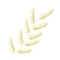 Spring Blossom Sticker