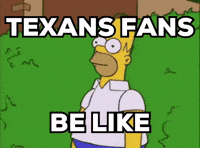 Houston Texans Nfl GIF by Respective